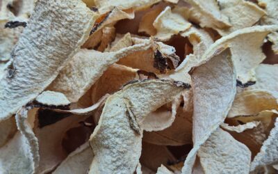 Unveiling the Wonders of Konjac: A Versatile and Nutritious Superfood