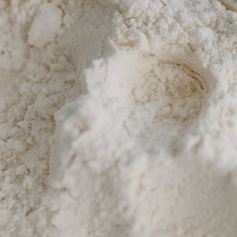 konjac flour - product