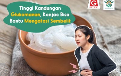 Tinggi Kandungan Glukomanan, Konjac Bisa Bantu Mengatasi Sembelit