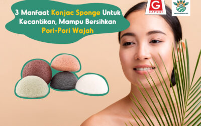 3 Manfaat Konjac Sponge Untuk Kecantikan, Mampu Bersihkan Pori-Pori Wajah