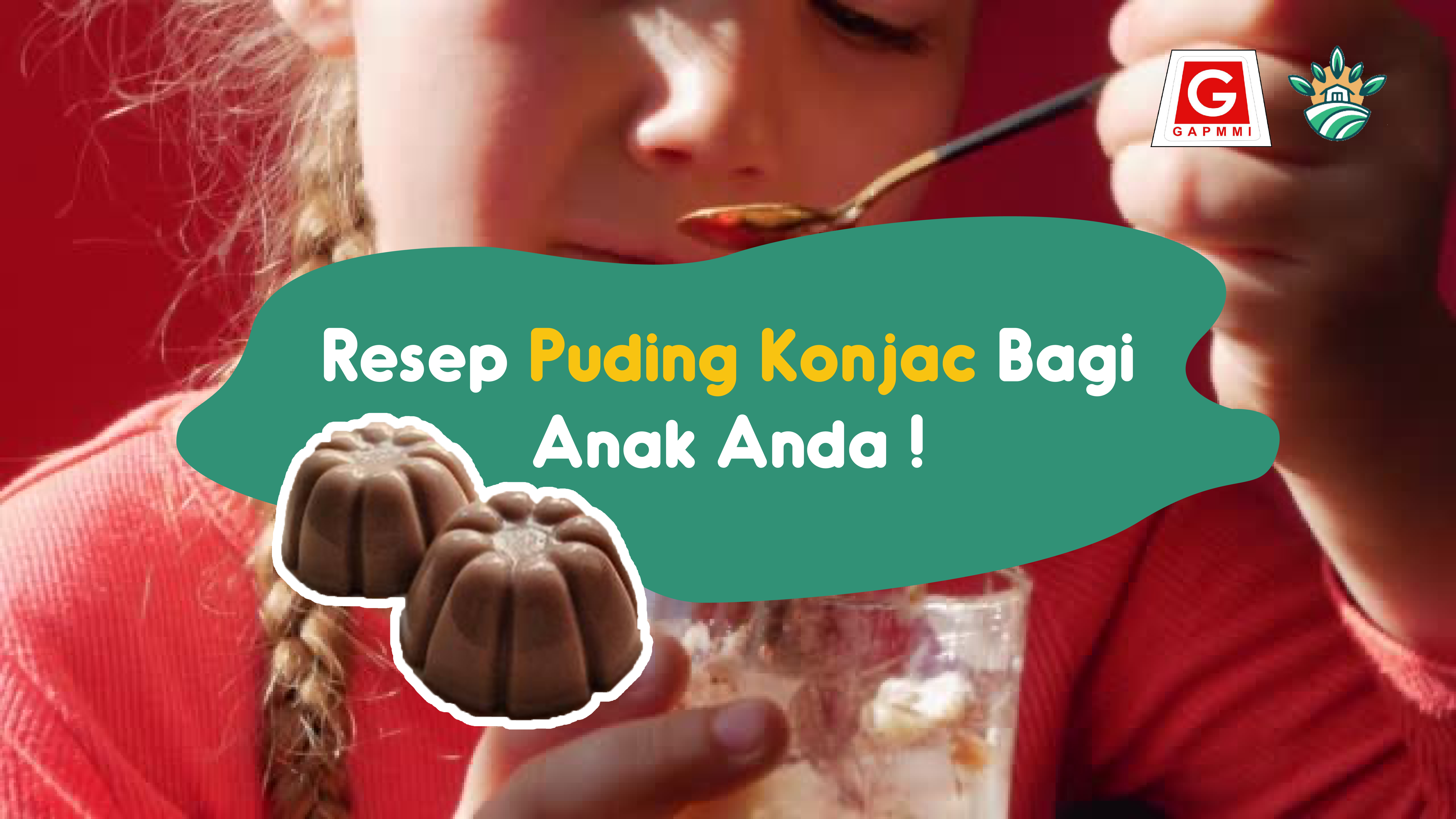 Resep Puding Konjac Bagi Anak Anda!